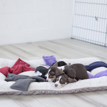 Load image into Gallery viewer, Puppy Pals