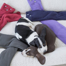 Load image into Gallery viewer, Puppy Pals