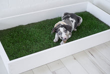 Load image into Gallery viewer, Litter Box Frame