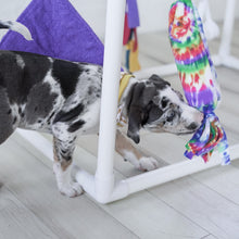 Load image into Gallery viewer, Gym (Toys Sold Separately)