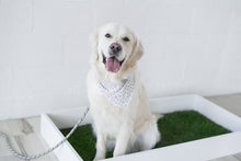 Load image into Gallery viewer, Litter Box Frame