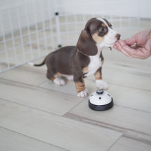 Load image into Gallery viewer, BB Panels