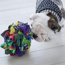 Load image into Gallery viewer, Snuffle Stars