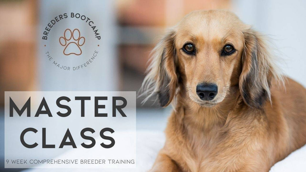 Breeders Bootcamp Master Class