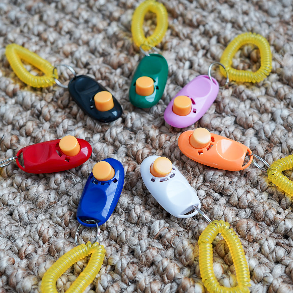 Training Clicker