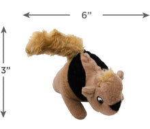 Load image into Gallery viewer, Squirrel
