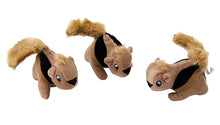 Load image into Gallery viewer, Squirrel
